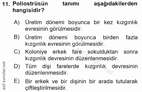 11. soru: Poliostrüsün tanımı aşağıdakilerden hangisidir? A) Üretim dönemi boyunca bir kez kızgınlık evresinin görülmesidir. B)…