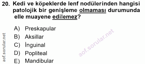 20. soru: Kedi ve köpeklerde lenf nodülerinden hangisi patolojik bir genişleme olmaması durumunda elle muayene edilemez? A) Pre…