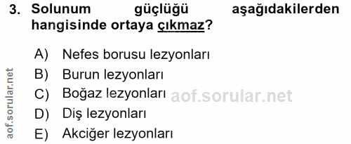 3. soru: Solunum güçlüğü aşağıdakilerden hangisinde ortaya çıkmaz? A) Nefes borusu lezyonları B) Burun lezyonları C) Boğaz lez…