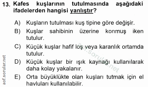 13. soru: Kafes kuşlarının tutulmasında aşağıdaki ifadelerden hangisi yanlıştır? A) Kuşların tutulması kuş tipine göre değişir.…