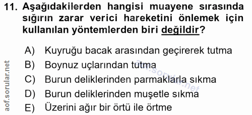 11. soru: Aşağıdakilerden hangisi muayene sırasında sığırın zarar verici hareketini önlemek için kullanılan yöntemlerden biri d…