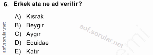 6. soru: Erkek ata ne ad verilir? A) Kısrak B) Beygir C) Aygir D) Equidae E) Katır