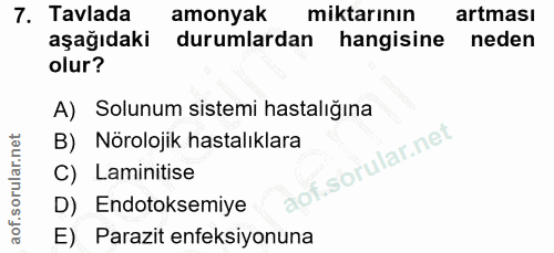 7. soru: Tavlada amonyak miktarının artması aşağıdaki durumlardan hangisine neden olur? A) Solunum sistemi hastalığına B) Nöro…