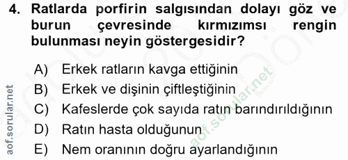 4. soru: Ratlarda porfirin salgısından dolayı göz ve burun çevresinde kırmızımsı rengin bulunması neyin göstergesidir? A) Erke…