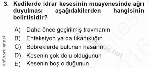 3. soru: Kedilerde idrar kesesinin muayenesinde ağrı duyulması aşağıdakilerden hangisinin belirtisidir? A) Daha önce geçirilmi…