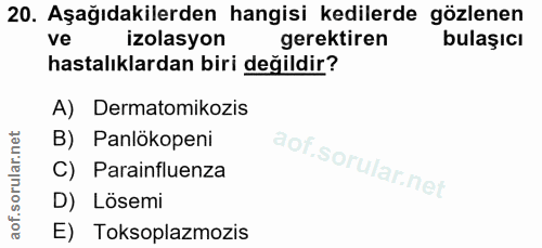 20. soru: Aşağıdakilerden hangisi kedilerde gözlenen ve izolasyon gerektiren bulaşıcı hastalıklardan biri değildir? A) Dermatom…