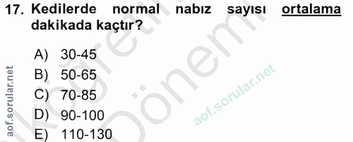 17. soru: Kedilerde normal nabız sayısı ortalama dakikada kaçtır? A) 30-45 B) 50-65 C) 70-85 D) 90-100 E) 110-130