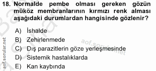 18. soru: Normalde pembe olması gereken gözün müköz membranlarının kırmızı renk alması aşağıdaki durumlardan hangisinde gözleni…