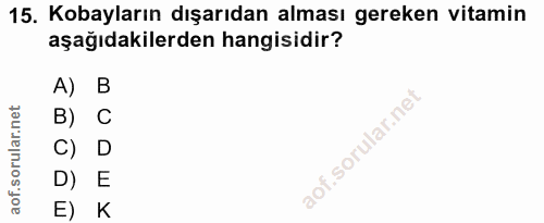 15. soru: Kobayların dışarıdan alması gereken vitamin aşağıdakilerden hangisidir? A) B B) C C) D D) E E) K
