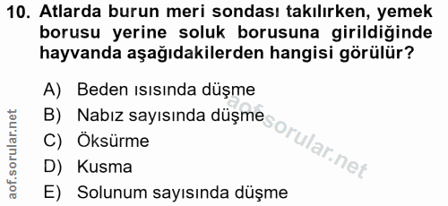 10. soru: Atlarda burun meri sondası takılırken, yemek borusu yerine soluk borusuna girildiğinde hayvanda aşağıdakilerden hangi…