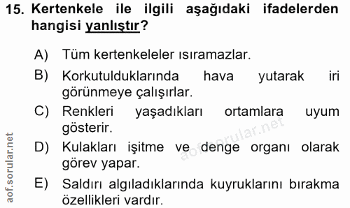 15. soru: Kertenkele ile ilgili aşağıdaki ifadelerden hangisi yanlıştır? A) Tüm kertenkeleler ısıramazlar. B) Korkutulduklarınd…