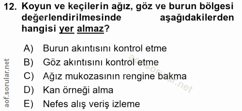 12. soru: Koyun ve keçilerin ağız, göz ve burun bölgesi değerlendirilmesinde aşağıdakilerden hangisi yer almaz? A) Burun akıntı…