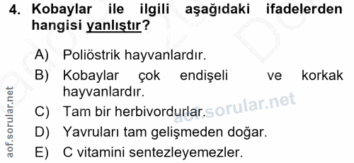 4. soru: Kobaylar ile ilgili aşağıdaki ifadelerden hangisi yanlıştır? A) Poliöstrik hayvanlardır. B) Kobaylar çok endişeli ve…