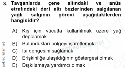 3. soru: Tavşanlarda çene altindaki ve anüs etrafındaki deri altı bezlerinden salgılanan yağlı salgının görevi aşağıdakilerden…
