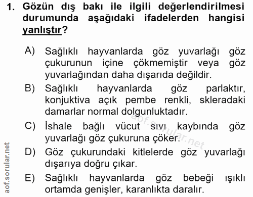 1. soru: Gözün dış bakı ile ilgili değerlendirilmesi durumunda aşağıdaki ifadelerden hangisi yanlıştır? A) Sağlıklı hayvanlard…