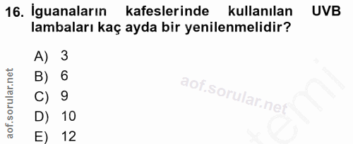 16. soru: lguanaların kafeslerinde kullanılan UVB lambaları kaç ayda bir yenilenmelidir? A) 3 B) 6 C) 9 D) 10 E) 12