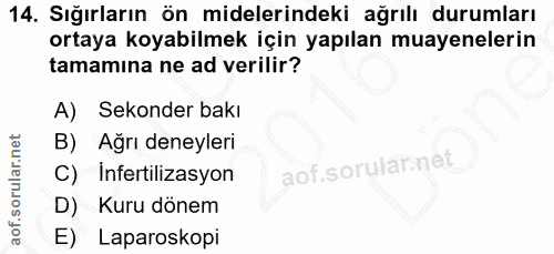 14. soru: Sığırların ön midelerindeki ağrılı durumları ortaya koyabilmek için yapılan muayenelerin tamamına ne ad verilir? A) S…