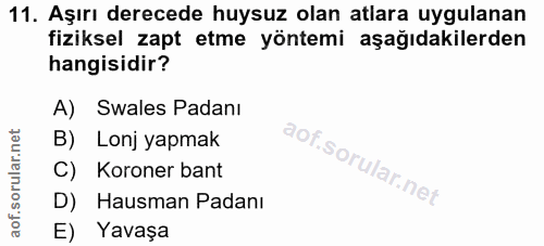 11. soru: Aşırı derecede huysuz olan atlara uygulanan fiziksel zapt etme yöntemi aşağıdakilerden hangisidir? A) Swales Padanı B…