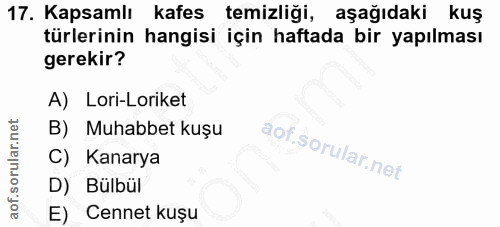 17. soru: Kapsamlı kafes temizliği, aşağıdaki kuş türlerinin hangisi için haftada bir yapılması gerekir? A) Lori-Loriket B) Muh…