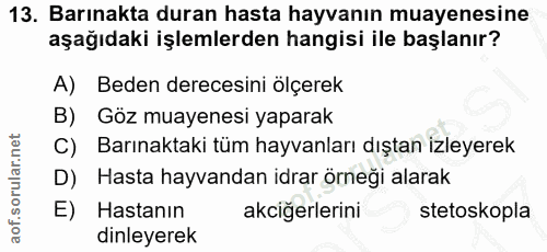 13. soru: Barınakta duran hasta hayvanın muayenesine aşağıdaki işlemlerden hangisi ile başlanır? A) Beden derecesini ölçerek B)…