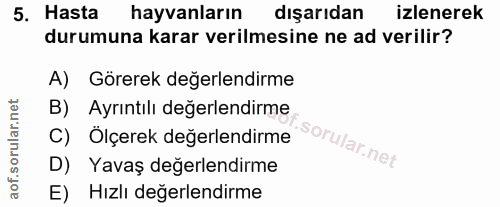 5. soru: Hasta hayvanların dışarıdan izlenerek durumuna karar verilmesine ne ad verilir? A) Görerek değerlendirme B) Ayrıntılı…