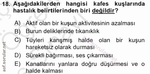 18. soru: Aşağıdakilerden hangisi kafes kuşlarında hastalık belirtilerinden biri değildir? A) Aktif olan bir kuşun aktivitesini…