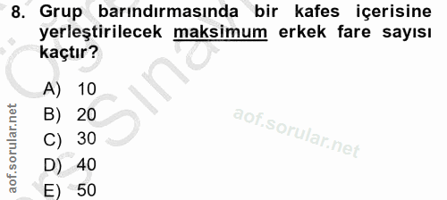 8. soru: Grup barındırmasında bir kafes içerisine yerleştirilecek maksimum erkek fare sayısı kaçtır? A) 10 B) 20 C) 30 D) 40 E…