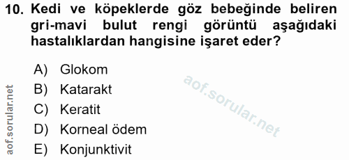 10. soru: Kedi ve köpeklerde göz bebeğinde beliren gri-mavi bulut rengi görüntü aşağıdaki hastalıklardan hangisine işaret eder?…