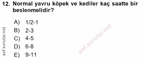 12. soru: Normal yavru köpek ve kediler kaç saatte bir beslenmelidir? A) 1/2-1 B) 2-3 C) 4-5 D) 6-8 E) 9-11