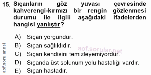 15. soru: Siçanların göz yuvası çevresinde kahverengi-kırmızı bir rengin gözlenmesi durumu ile ilgili aşağıdaki ifadelerden han…