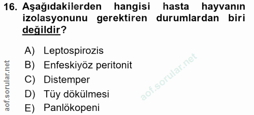 16. soru: Aşağıdakilerden hangisi hasta hayvanın izolasyonunu gerektiren durumlardan biri değildir? A) Leptospirozis B) Enfeski…