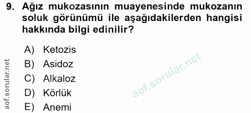 9. soru: Ağız mukozasının muayenesinde mukozanın soluk görünümü ile aşağıdakilerden hangisi hakkında bilgi edinilir? A) Ketozi…
