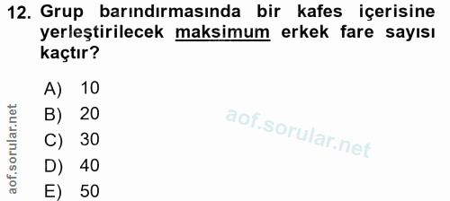12. soru: Grup barındırmasında bir kafes içerisine yerleştirilecek maksimum erkek fare sayısı kaçtır? A) 10 B) 20 C) 30 D) 40 E…