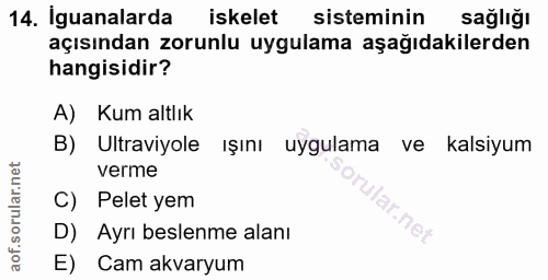 14. soru: Iguanalarda iskelet sisteminin sağlığı açısından zorunlu uygulama aşağıdakilerden hangisidir? A) Kum altlık B) Ultrav…