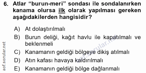 6. soru: Atlar "burun-meri" sondası ile sondalanırken kanama olursa ilk olarak yapılması gereken aşağıdakilerden hangisidir? A…