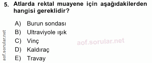 5. soru: Atlarda rektal muayene için aşağıdakilerden hangisi gereklidir? A) Burun sondası B) Ultraviyole ışık C) Vinç D) Kaldı…