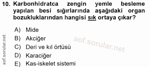 10. soru: Karbonhidratca zengin yemle besleme yapılan besi sığırlarında aşağıdaki organ bozukluklarından hangisi sık ortaya çık…