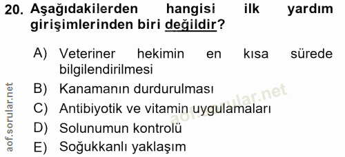 20. soru: Aşağıdakilerden hangisi ilk yardım girişimlerinden biri değildir? A) Veteriner hekimin en kısa sürede bilgilendirilme…