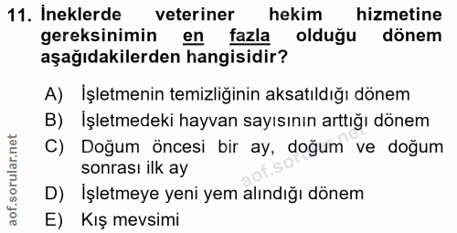 11. soru: Ineklerde veteriner hekim hizmetine gereksinimin en fazla olduğu dönem aşağıdakilerden hangisidir? A) İşletmenin temi…