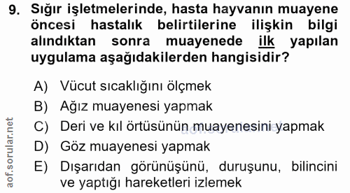 9. soru: Sığır işletmelerinde, hasta hayvanın muayene öncesi hastalık belirtilerine ilişkin bilgi alındıktan sonra muayenede i…