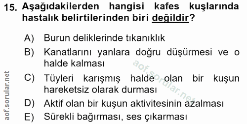 15. soru: Aşağıdakilerden hangisi kafes kuşlarında hastalık belirtilerinden biri değildir? A) Burun deliklerinde tıkanıklık B)…