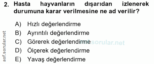 2. soru: Hasta hayvanların dışarıdan izlenerek durumuna karar verilmesine ne ad verilir? A) Hızlı değerlendirme B) Ayrıntılı d…