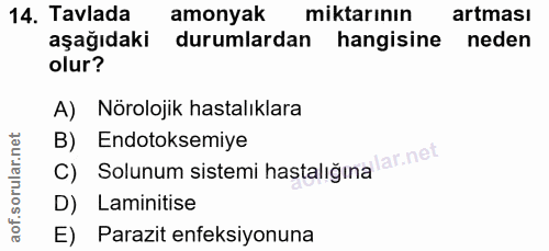 14. soru: Tavlada amonyak miktarının artması aşağıdaki durumlardan hangisine • neden olur? A) Nörolojik hastalıklara C) Solunum…