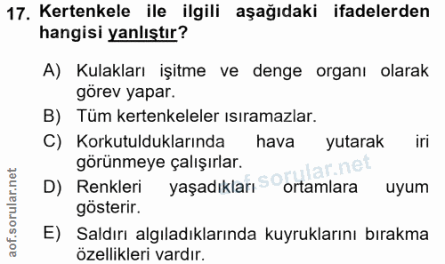 17. soru: Kertenkele ile ilgili aşağıdaki ifadelerden hangisi yanlıştır? A) Kulakları işitme ve denge organı olarak görev yapar…