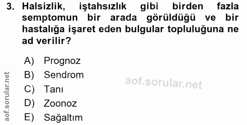 3. soru: Halsizlik, iştahsızlık gibi birden fazla semptomun bir arada görüldüğü ve bir hastalığa işaret eden bulgular topluluğ…