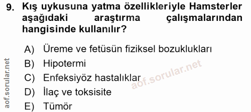 9. soru: Kış uykusuna yatma özellikleriyle Hamsterler aşağıdaki araştırma çalışmalarından hangisinde kullanılır? A) Üreme ve f…
