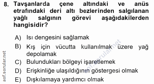 8. soru: Tavşanlarda çene altındaki ve anüs etrafındaki deri altı bezlerinden salgılanan yağlı salgının görevi aşağıdakilerden…