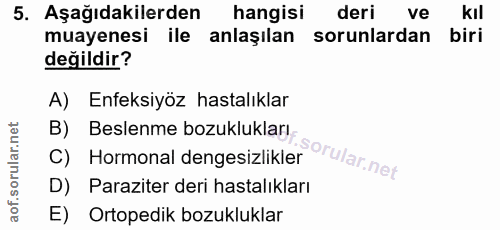 5. soru: Aşağıdakilerden hangisi deri ve kıl muayenesi ile anlaşılan sorunlardan biri değildir? B) Beslenme bozukluklarf sorul…