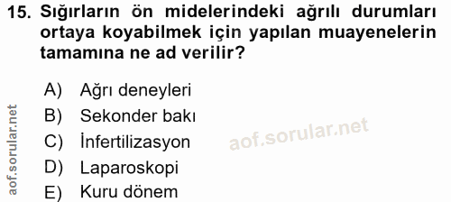 15. soru: Sığırların ön midelerindeki ağrılı durumları ortaya koyabilmek için yapılan muayenelerin tamamına ne ad verilir? A) A…