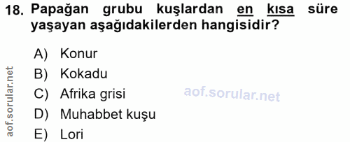 18. soru: Papağan grubu kuşlardan en kısa süre yaşayan aşağıdakilerden hangisidir? A) Konur B) Kokadu C) Afrika grisi D) Muhabb…